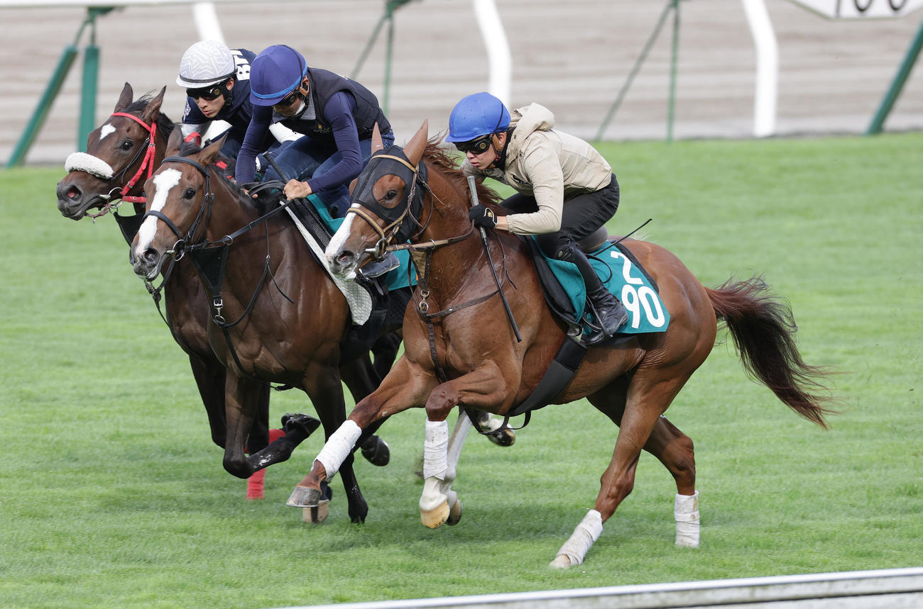 21日、角田大和騎手を背に、函館芝コースで併せ馬で追い切られるメイショウマサユメ（右端）