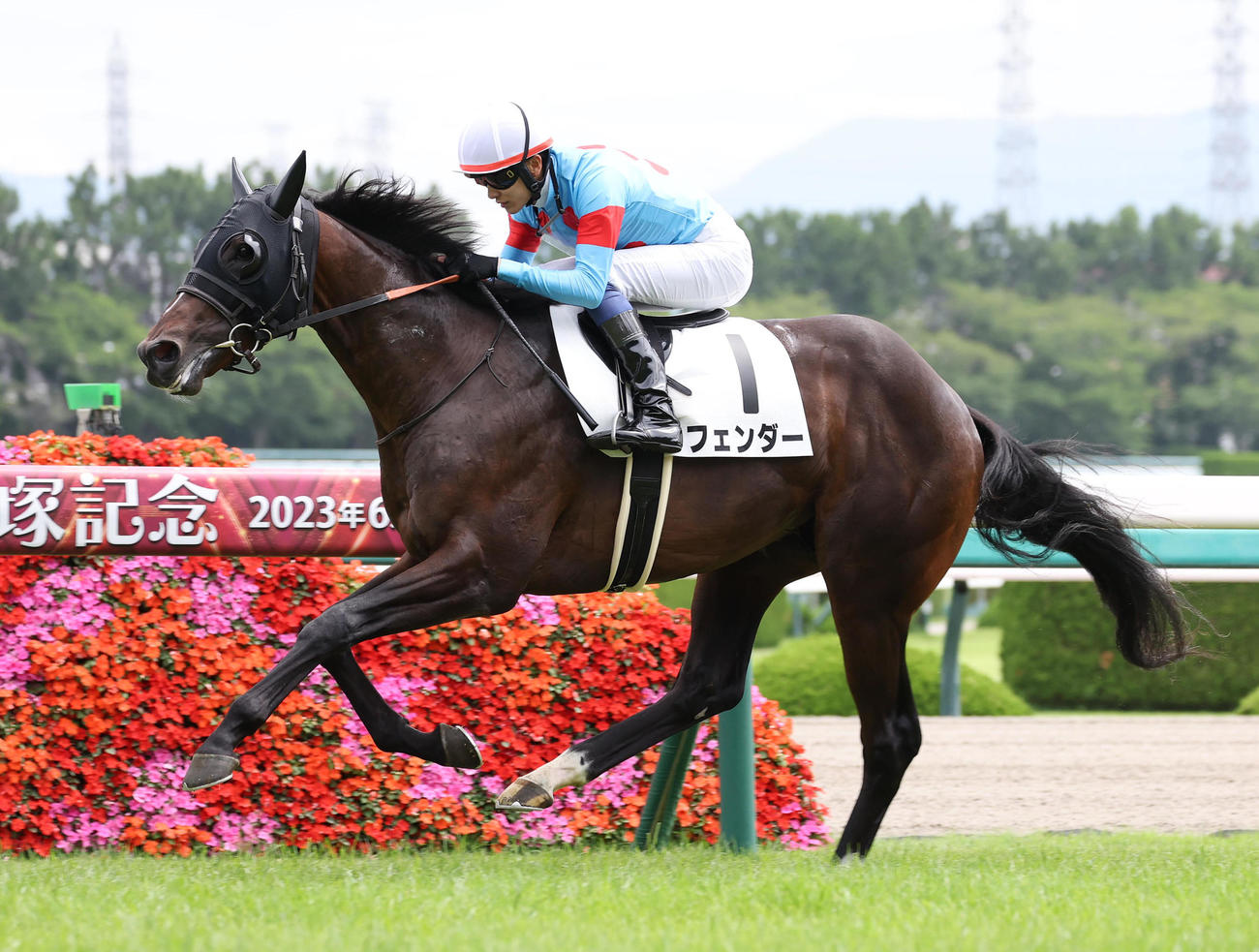 阪神1R、逃げ切って2歳未勝利を勝ち上がったフェンダー（撮影・白石智彦）