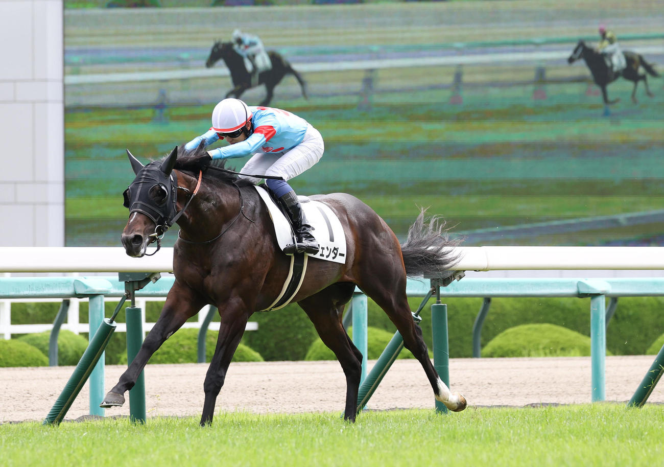 阪神1R、逃げ切って2歳未勝利を勝ち上がったフェンダー（撮影・白石智彦）