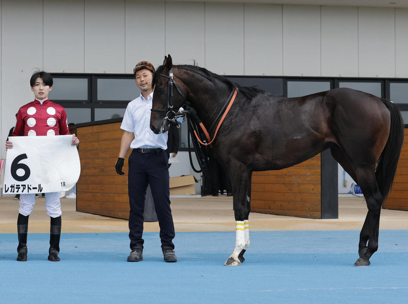 函館1R、2歳未勝利戦を制したレガテアドール（撮影・村野早祐）