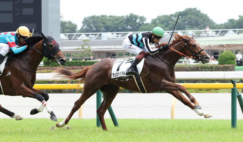 三浦皇成騎手がJRA通算1000勝達成「大変長らくお待たせしました