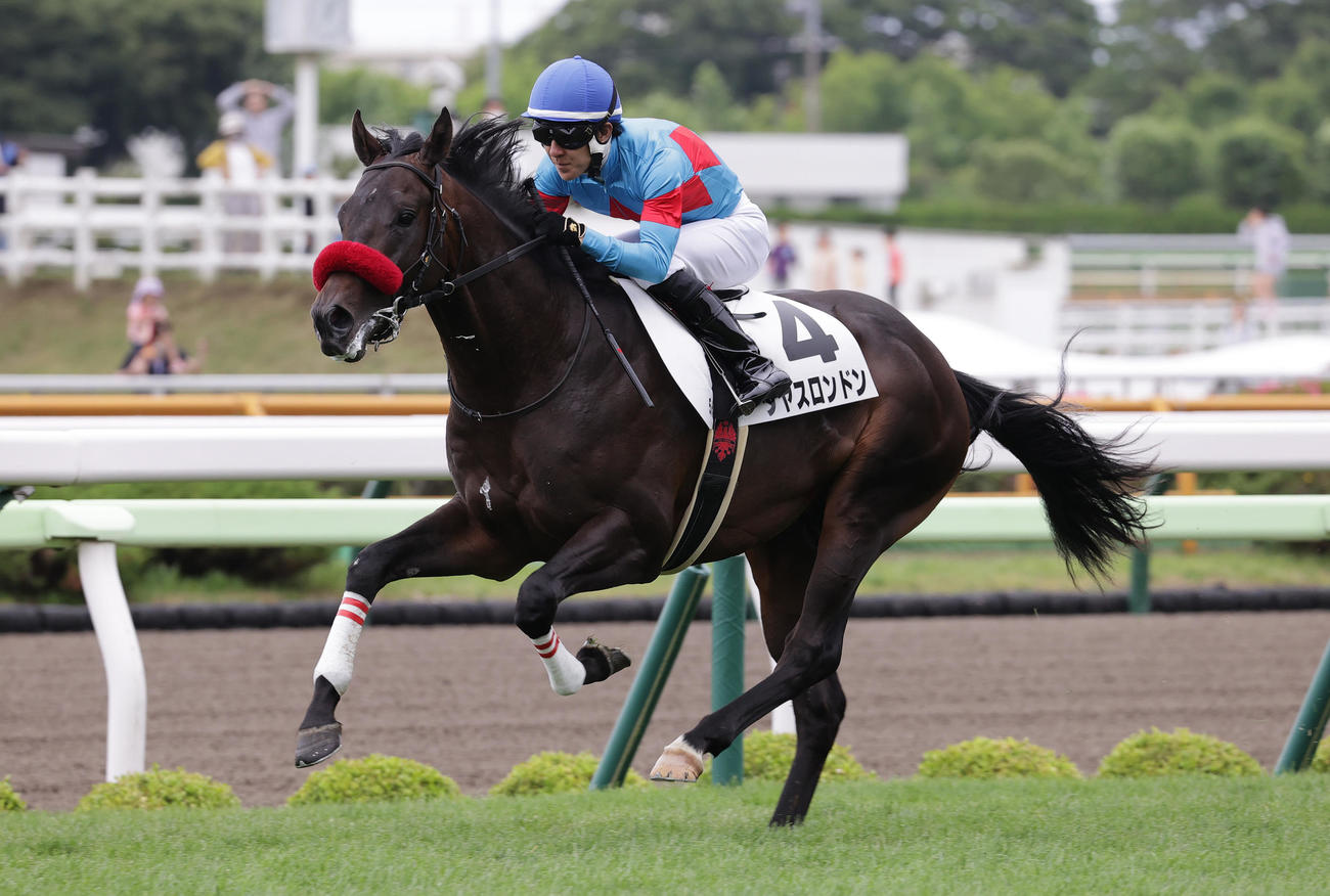 函館5R、デビュー戦を制したタヤスロンドンと丹内騎手（撮影・村野早祐）