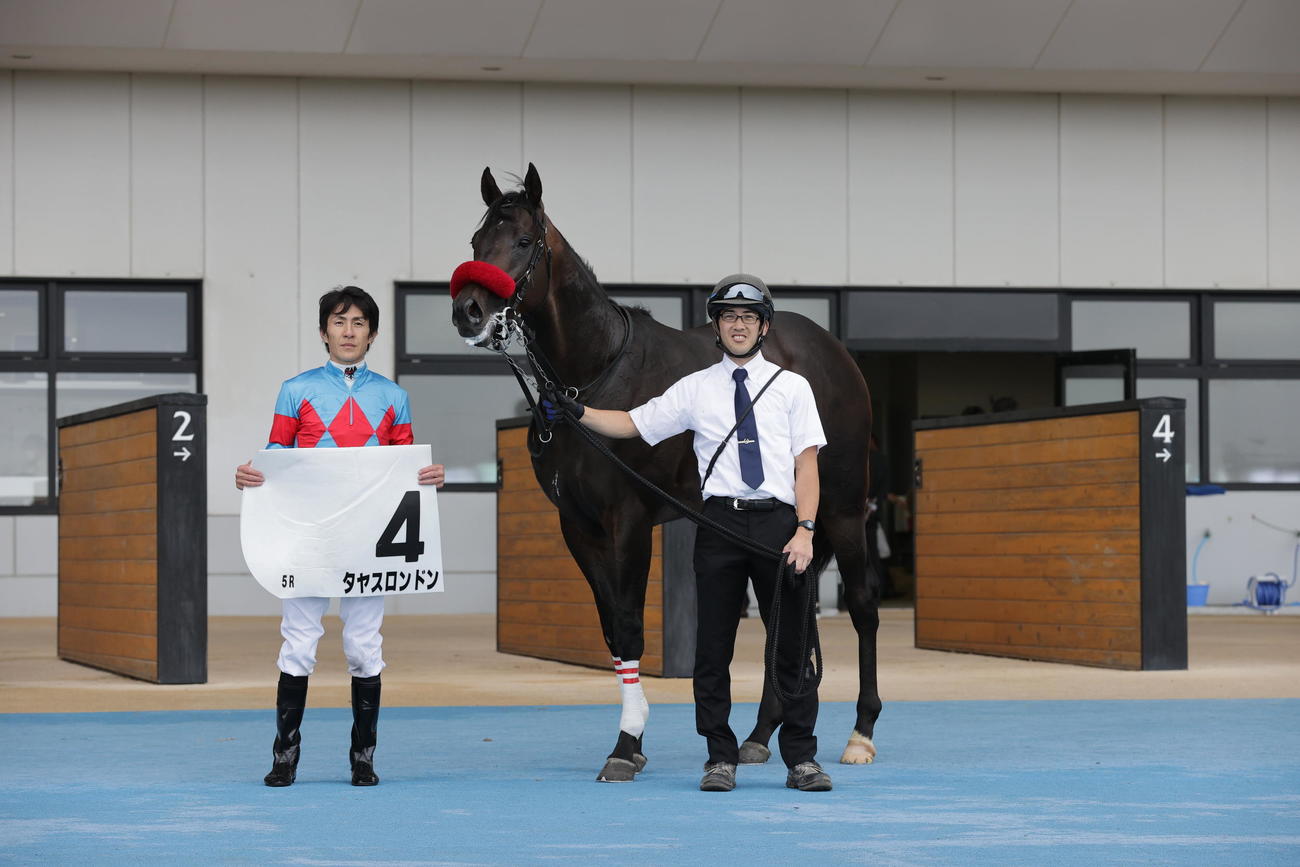 函館5R、デビュー戦を制したタヤスロンドンと丹内騎手（撮影・村野早祐）