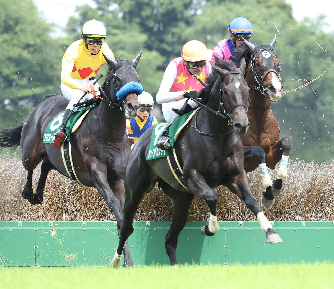 東京8R、東京ジャンプSを制したジューンベロシティと西谷騎手（中央）（撮影・丹羽敏通）
