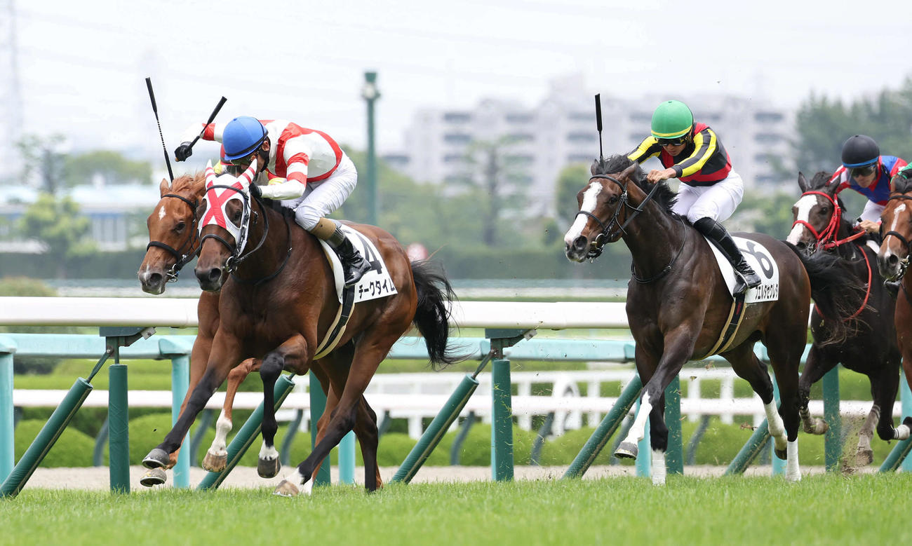 阪神5R、直線抜け出して新馬戦を制したチークタイム（左から2頭目）（撮影・白石智彦）