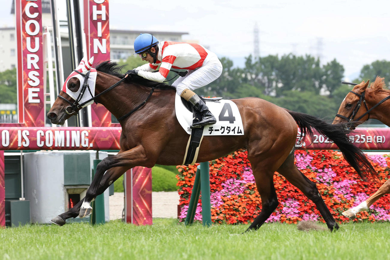 阪神5R、直線抜け出して新馬戦を制したチークタイム（撮影・白石智彦）