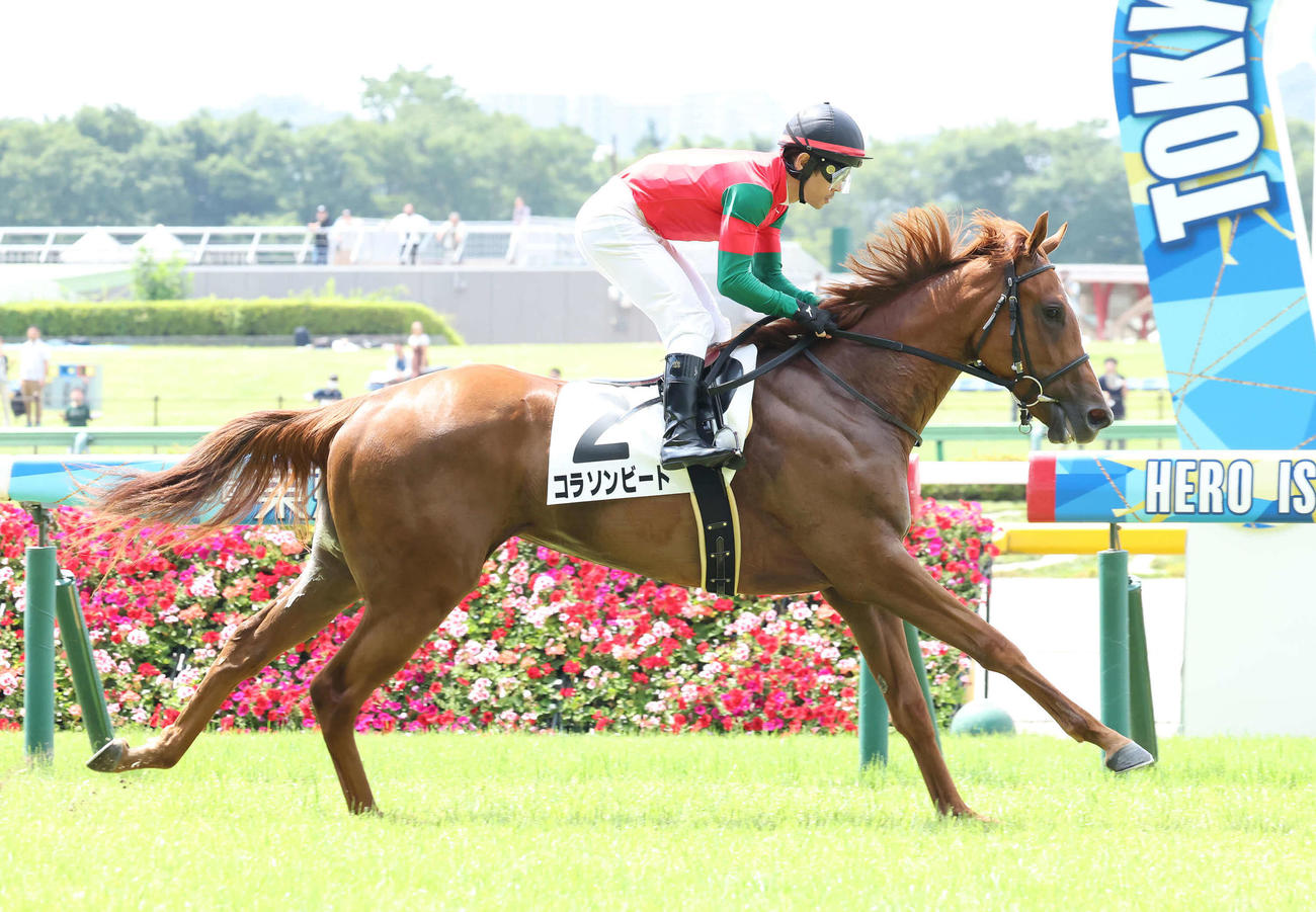 東京1R、2歳未勝利戦を快勝したコラソンビートと戸崎騎手（撮影・丹羽敏通）
