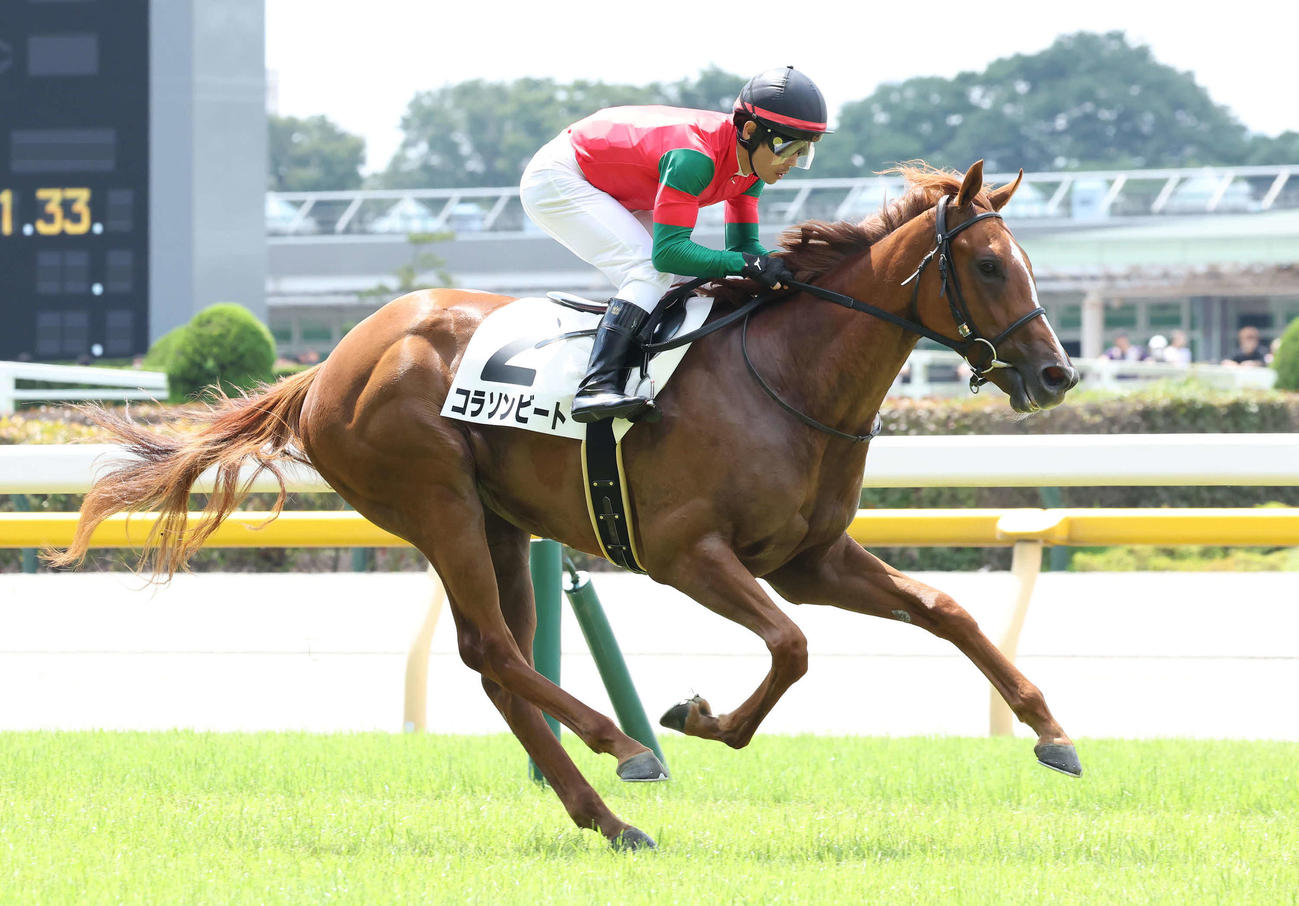 東京1R、2歳未勝利戦を快勝したコラソンビートと戸崎騎手（撮影・丹羽敏通）