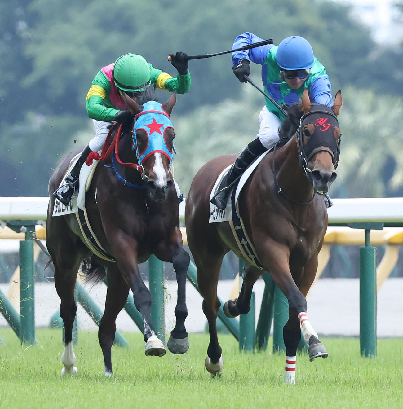 東京5R、トーセンクライネ（右）はタガノエクレールとの追い比べを制して初陣勝利（撮影・丹羽敏通）