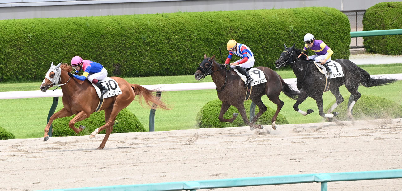 阪神6Rを快勝したノボリクレバー（左）（撮影・和賀正仁）