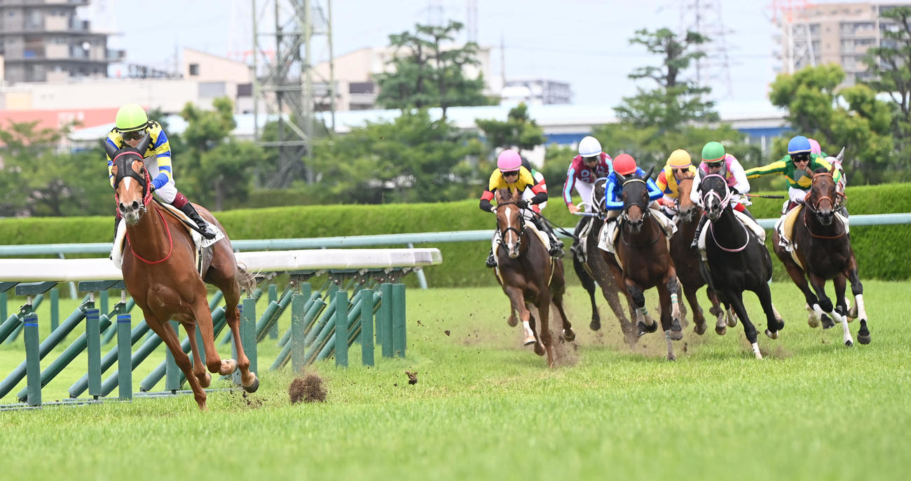 3歳以上1勝クラスを逃げ切るプリマヴィータ（撮影・和賀正仁）