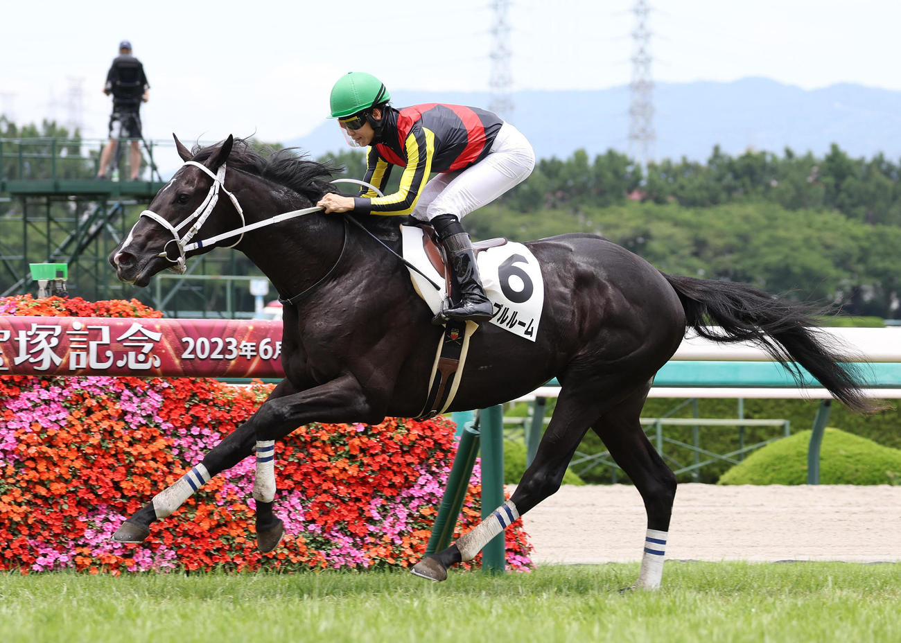 阪神5R新馬戦を快勝したギャンブルルーム（撮影・白石智彦）