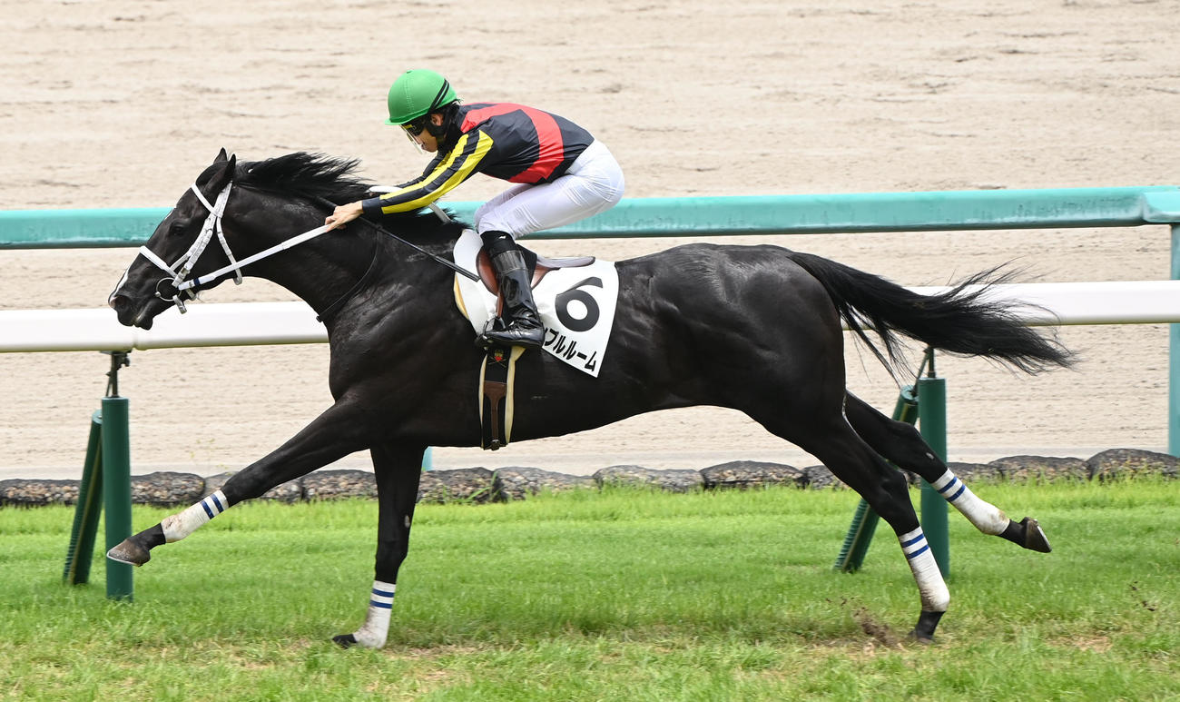 阪神5R新馬戦を快勝したギャンブルルーム（撮影・和賀正仁）