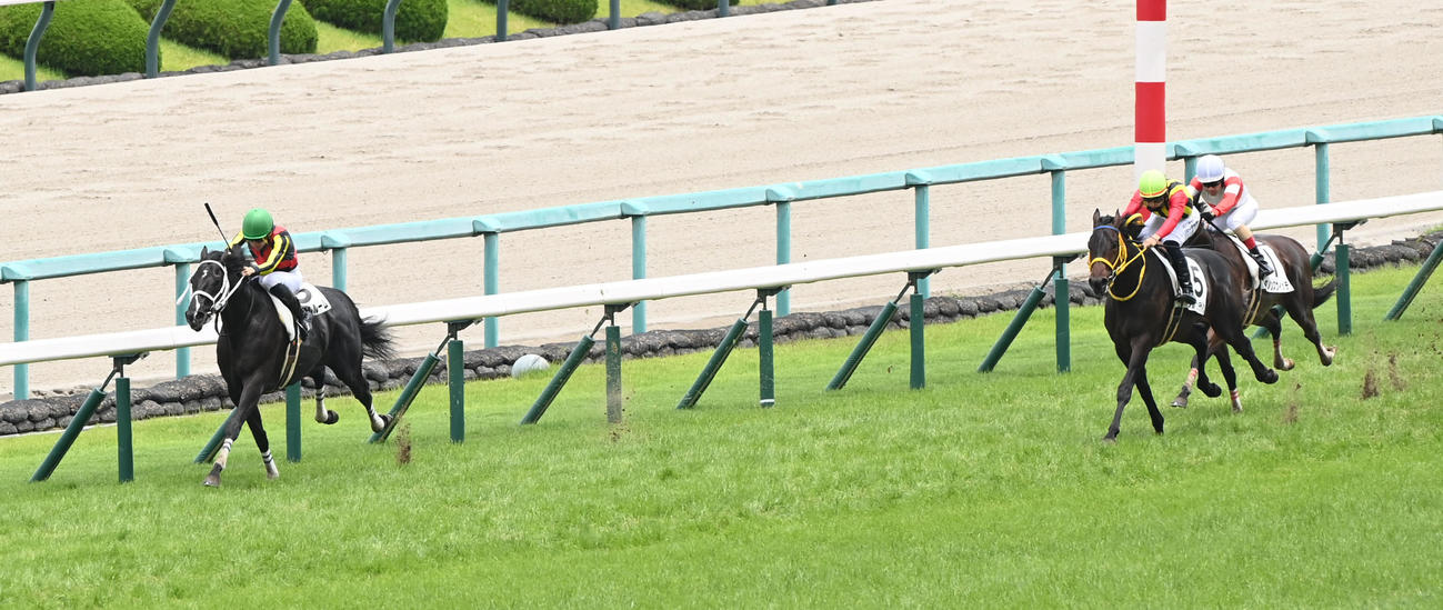 阪神5R新馬戦を快勝したギャンブルルーム（左）（撮影・和賀正仁）