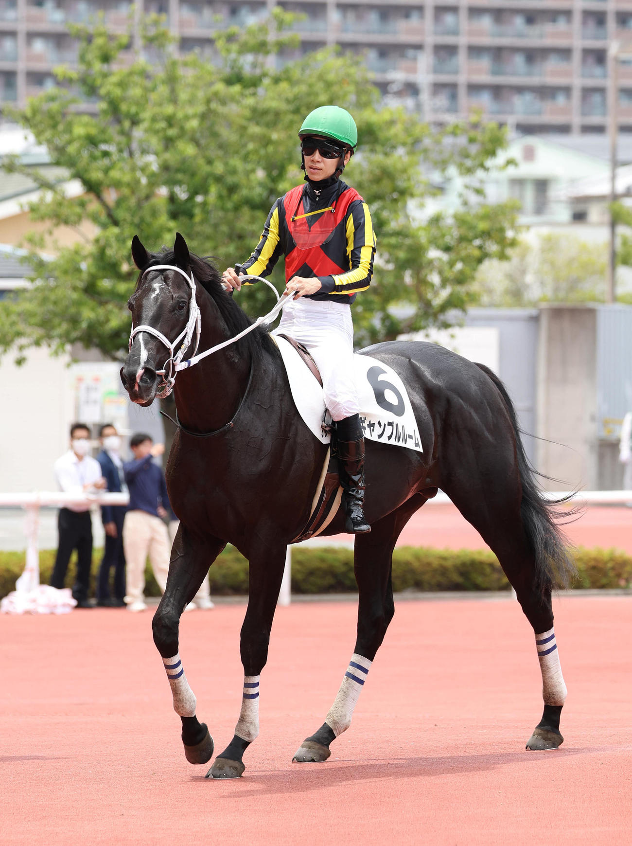 阪神5R新馬戦を快勝したギャンブルルーム（撮影・白石智彦）