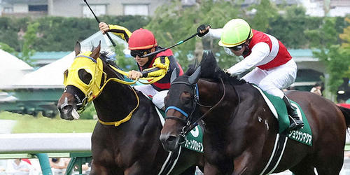 フェーングロッテンと松若風馬騎手(左)がラジオNIKKEI賞を制した(撮影・丹羽敏通)=2022年7月3日、福島競馬場