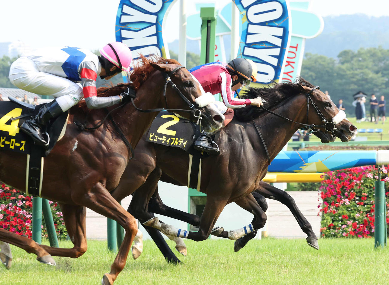 ゴール前の競り合いを制してパラダイスSに勝利したビューティフルデイと三浦騎手（右）。左は3着テンハッピーローズ（撮影・丹羽敏通）