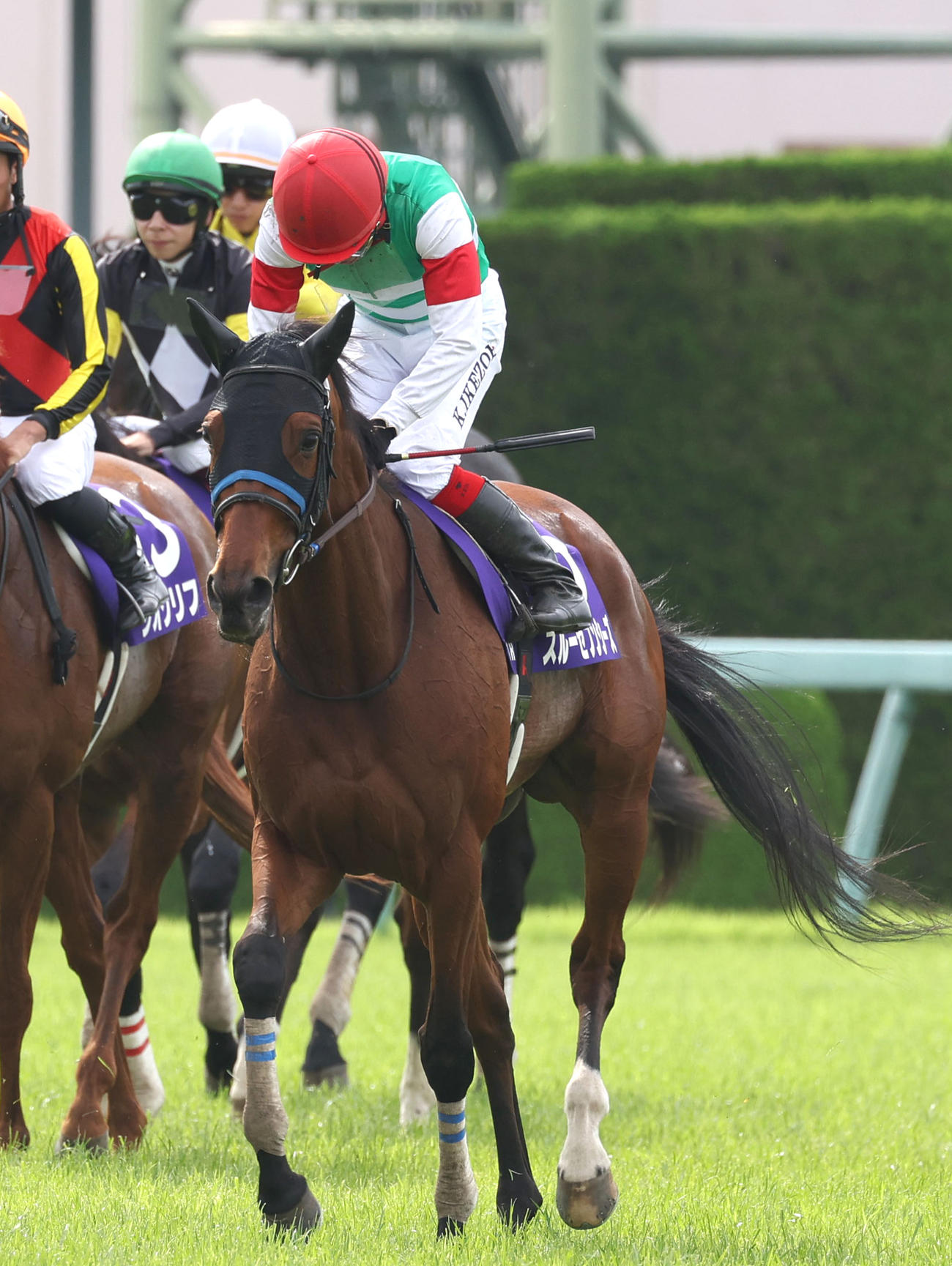 宝塚記念、惜しくも2着に敗れたスルーセブンシーズ（撮影・白石智彦）