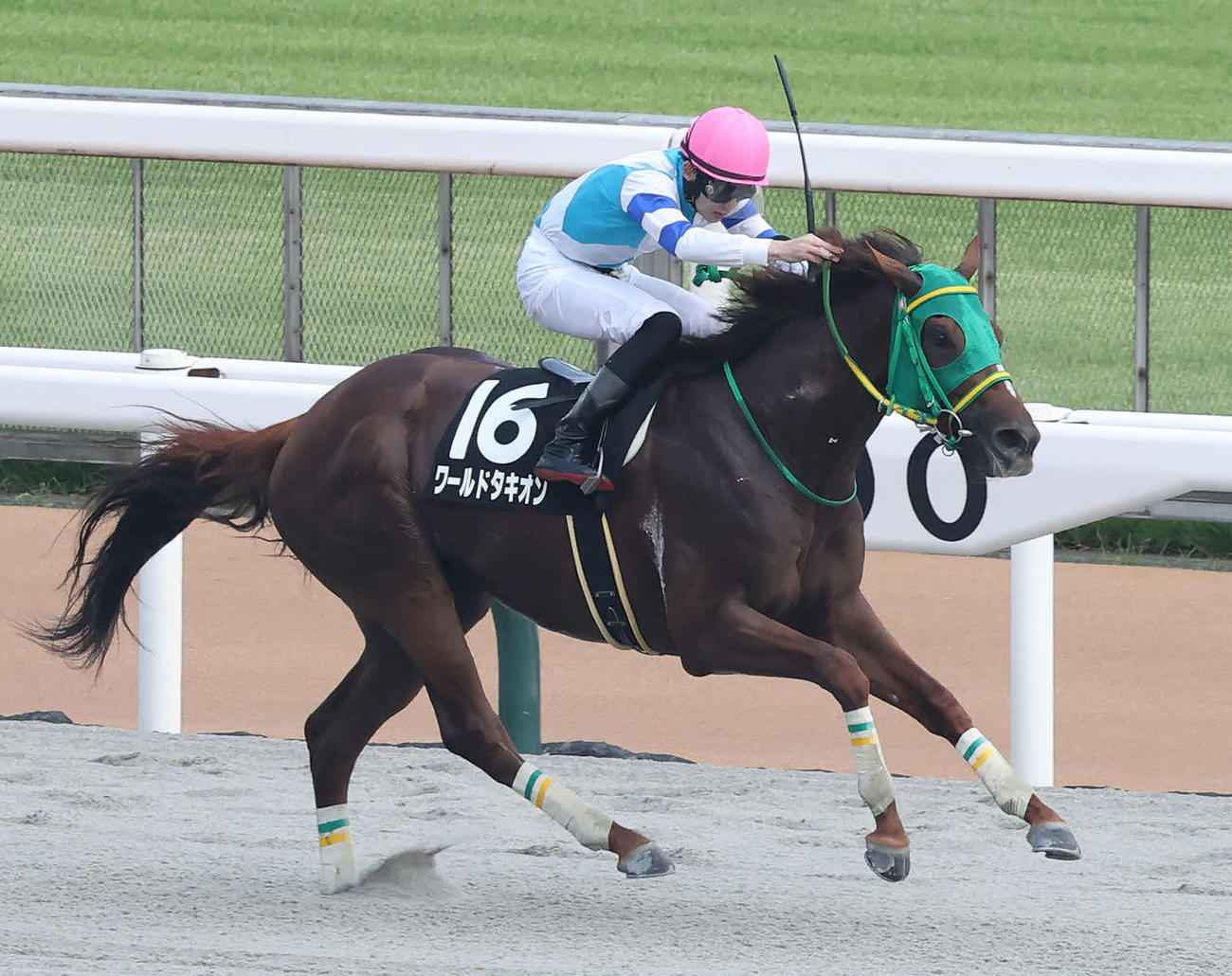 6月25日、甲州街道Sを制したワールドタキオン