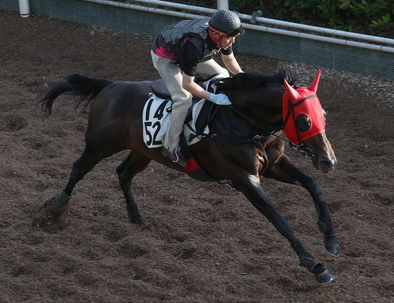 坂路で追い切るトゥラヴェスーラ