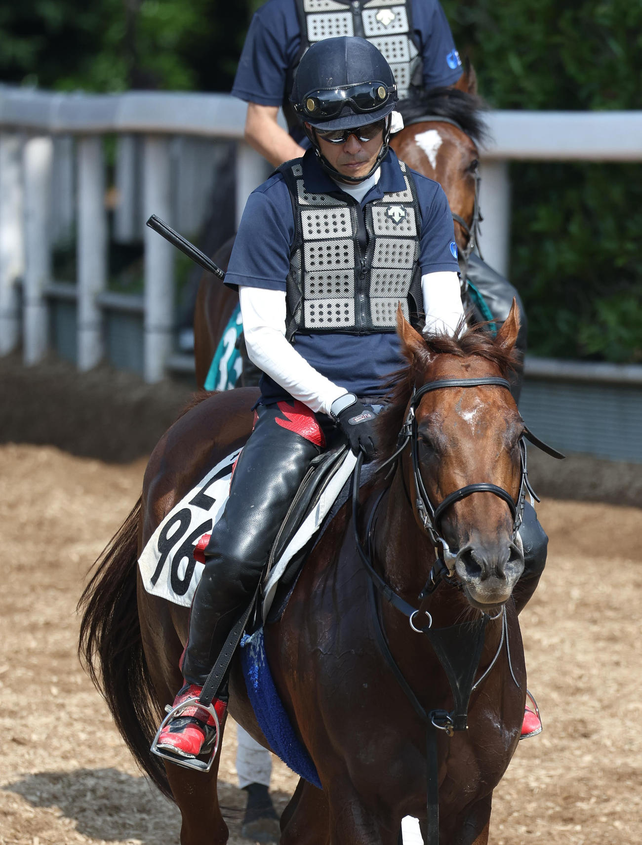 逍遥馬道で運動するエイシンスポッター（撮影・白石智彦）