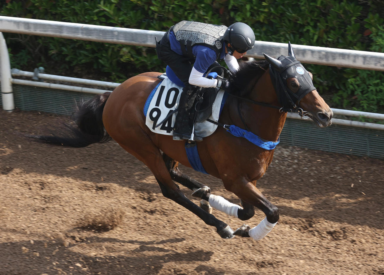 坂路で追い切るスマートクラージュ