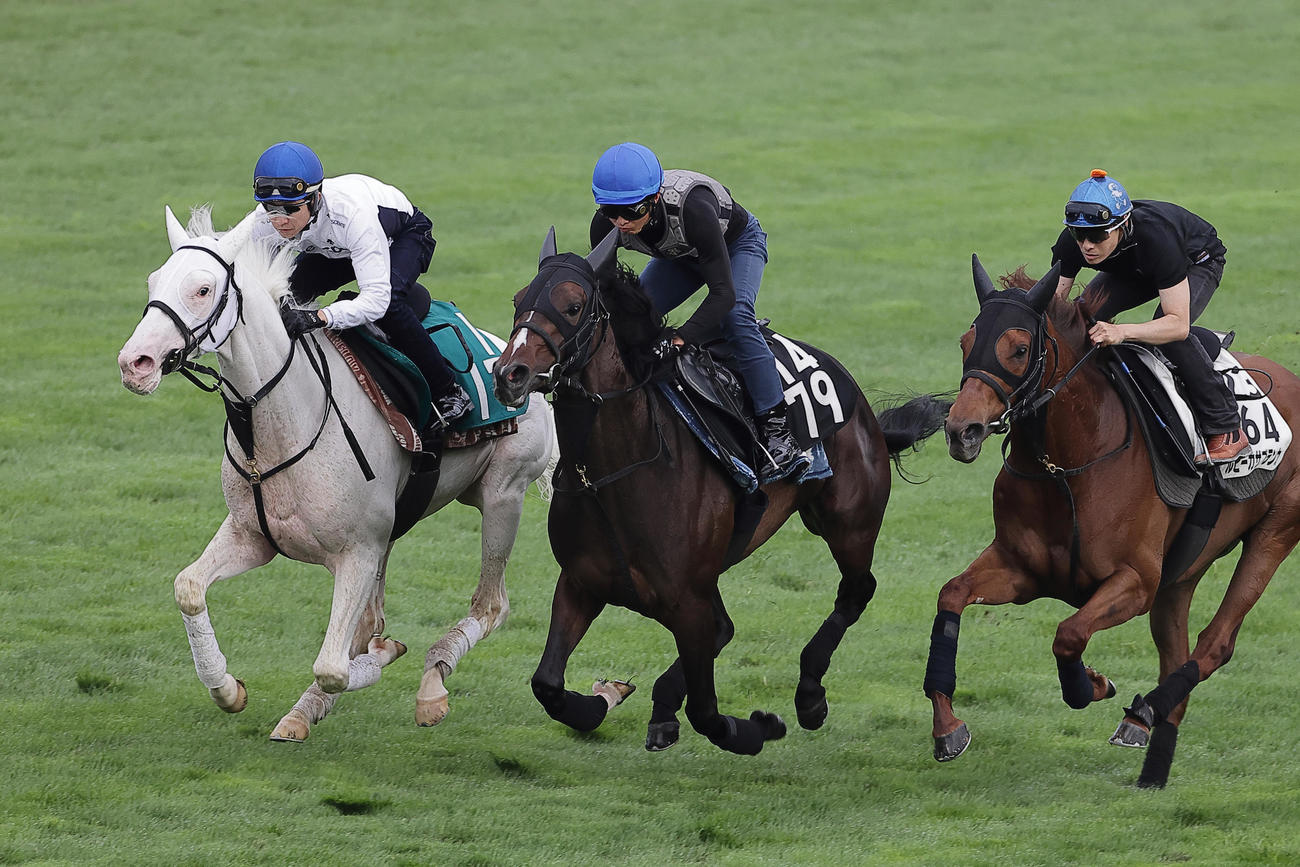 武豊騎手を背に、函館芝コースで併せ馬で追い切られるカルパ（左端）