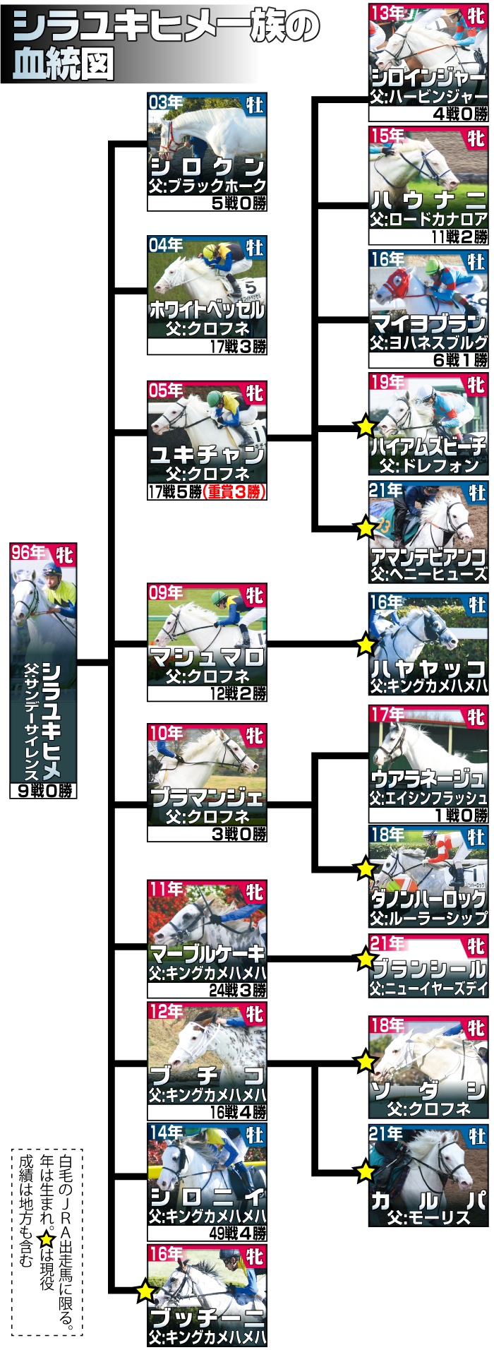 【イラスト】シラユキヒメ一族の血統図