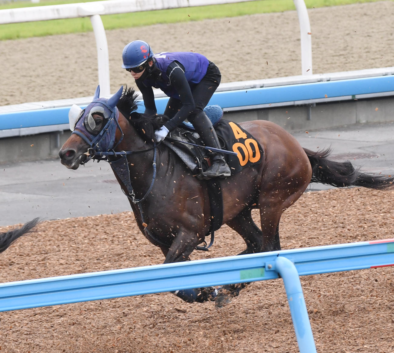 嶋田騎手を背にグラニットはコルニリア、テトラルキアと併せて追い切る（撮影・柴田隆二）