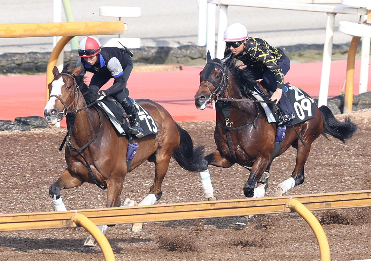 Cウッドをカレンノンノ（左）と併せ馬で追い切るオメガリッチマン（撮影・白石智彦）