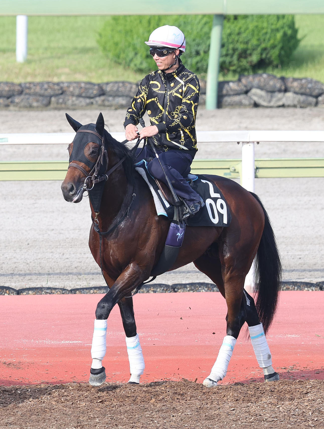 馬場入りするオメガリッチマン（撮影・白石智彦）