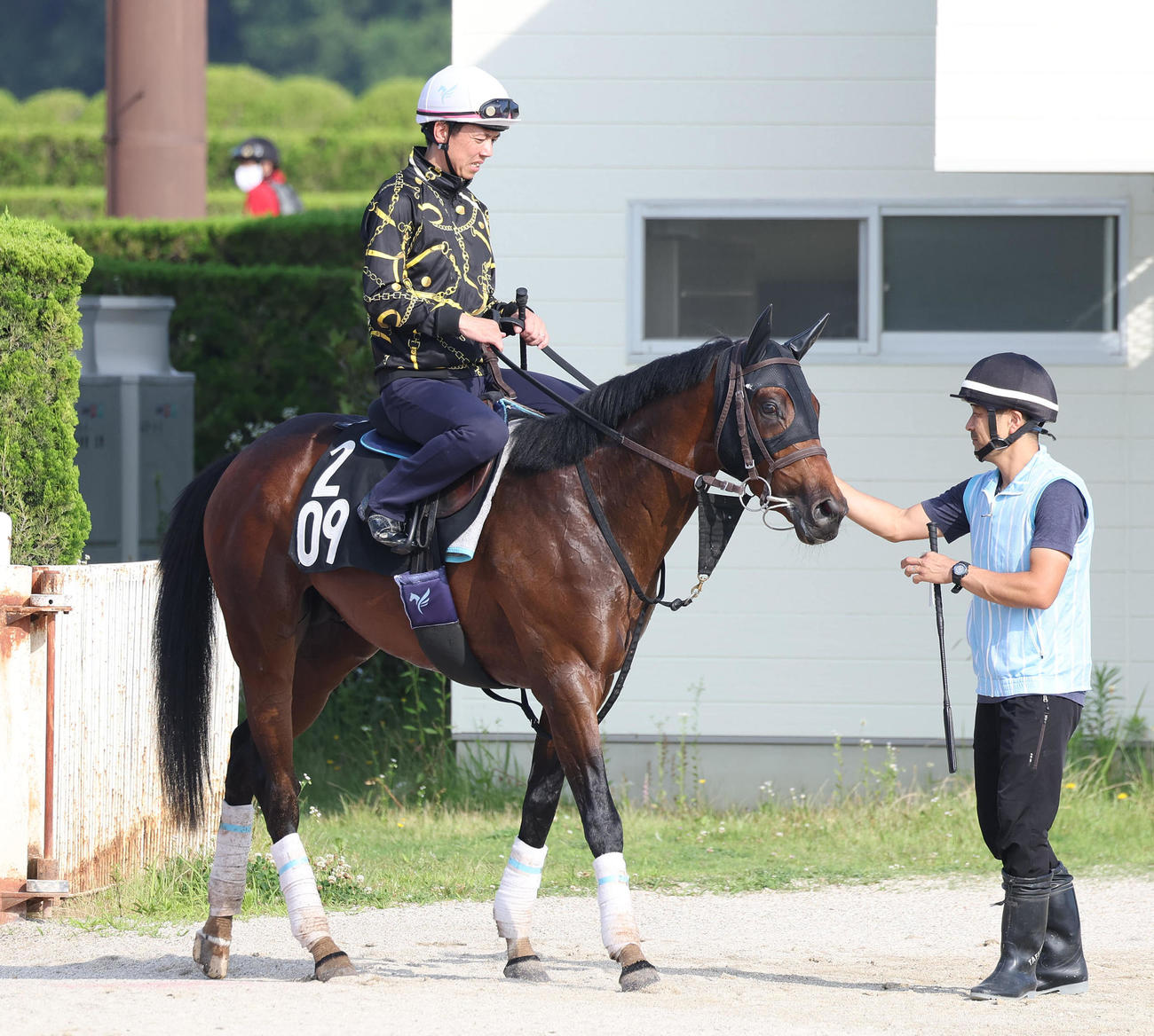 調教から引き揚げるオメガリッチマン（撮影・白石智彦）