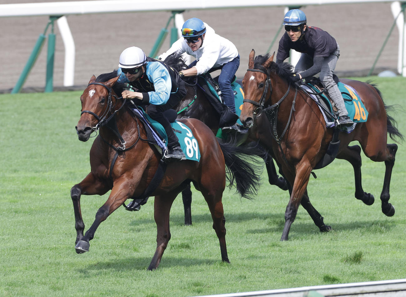 横山和生騎手を背に、函館芝コースで併せ馬で追い切られるルージュレベッカ（左端）