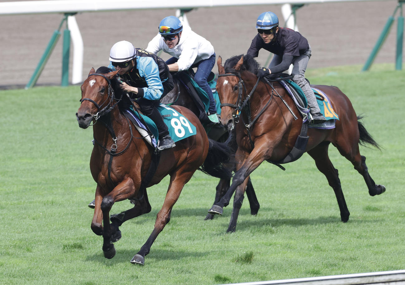 横山和生騎手を背に、函館芝コースで併せ馬で追い切られるルージュレベッカ（左端）