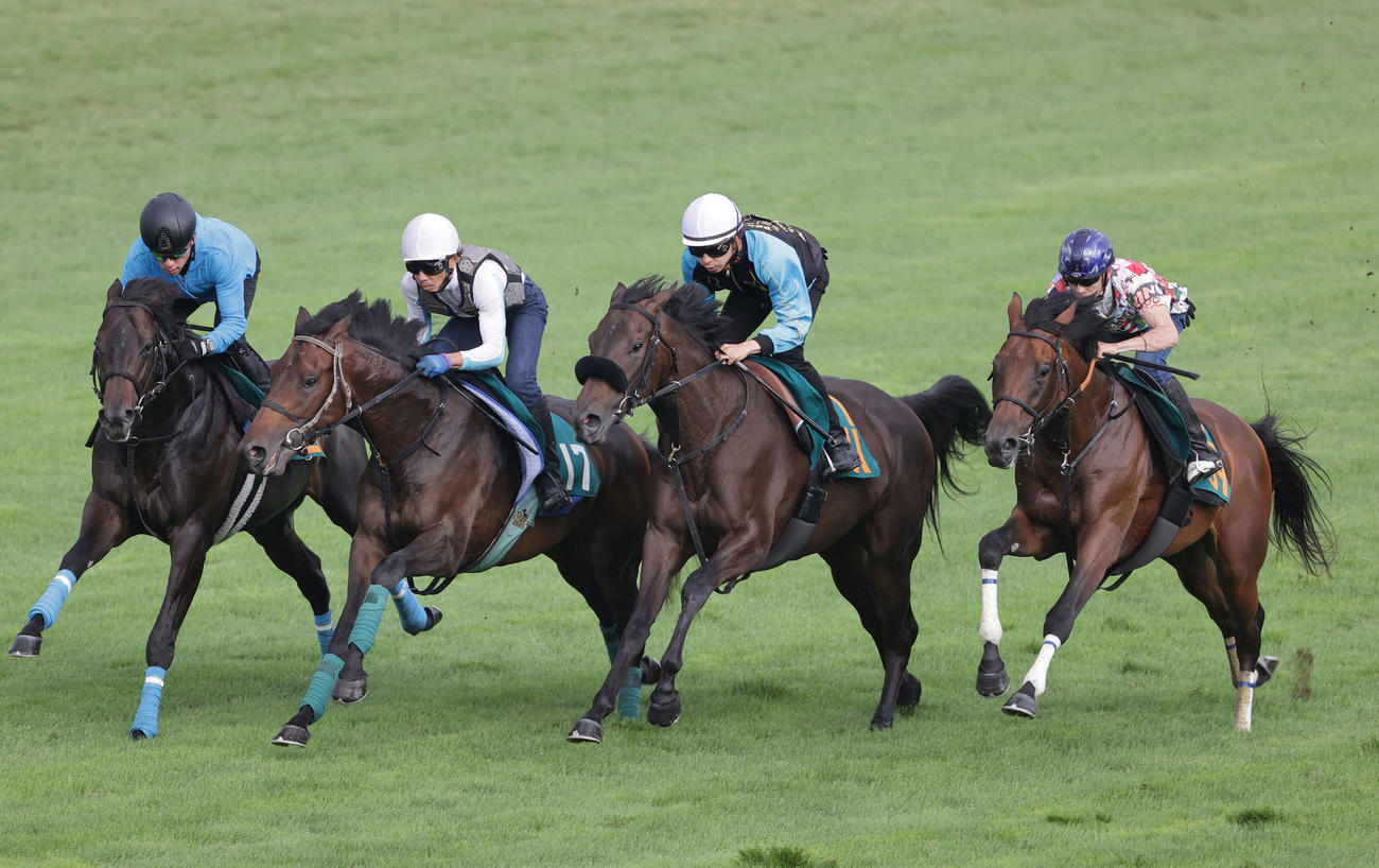 函館芝コースで併せ馬で追い切られる（右から）カンジ、リヤンイヴェール、ライフセービング
