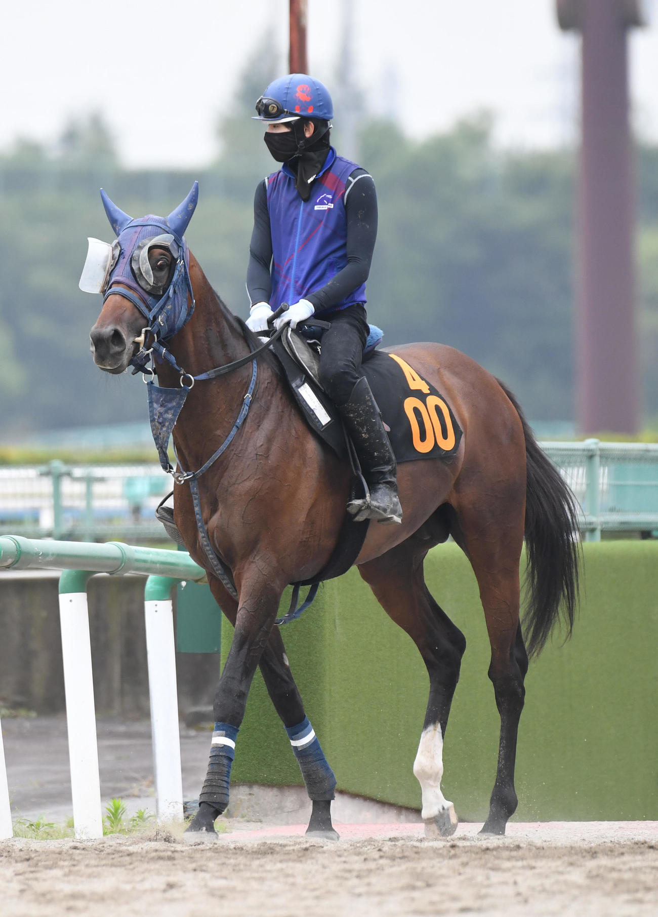 追い切りを終えたグラニット（2023年6月28日撮影）