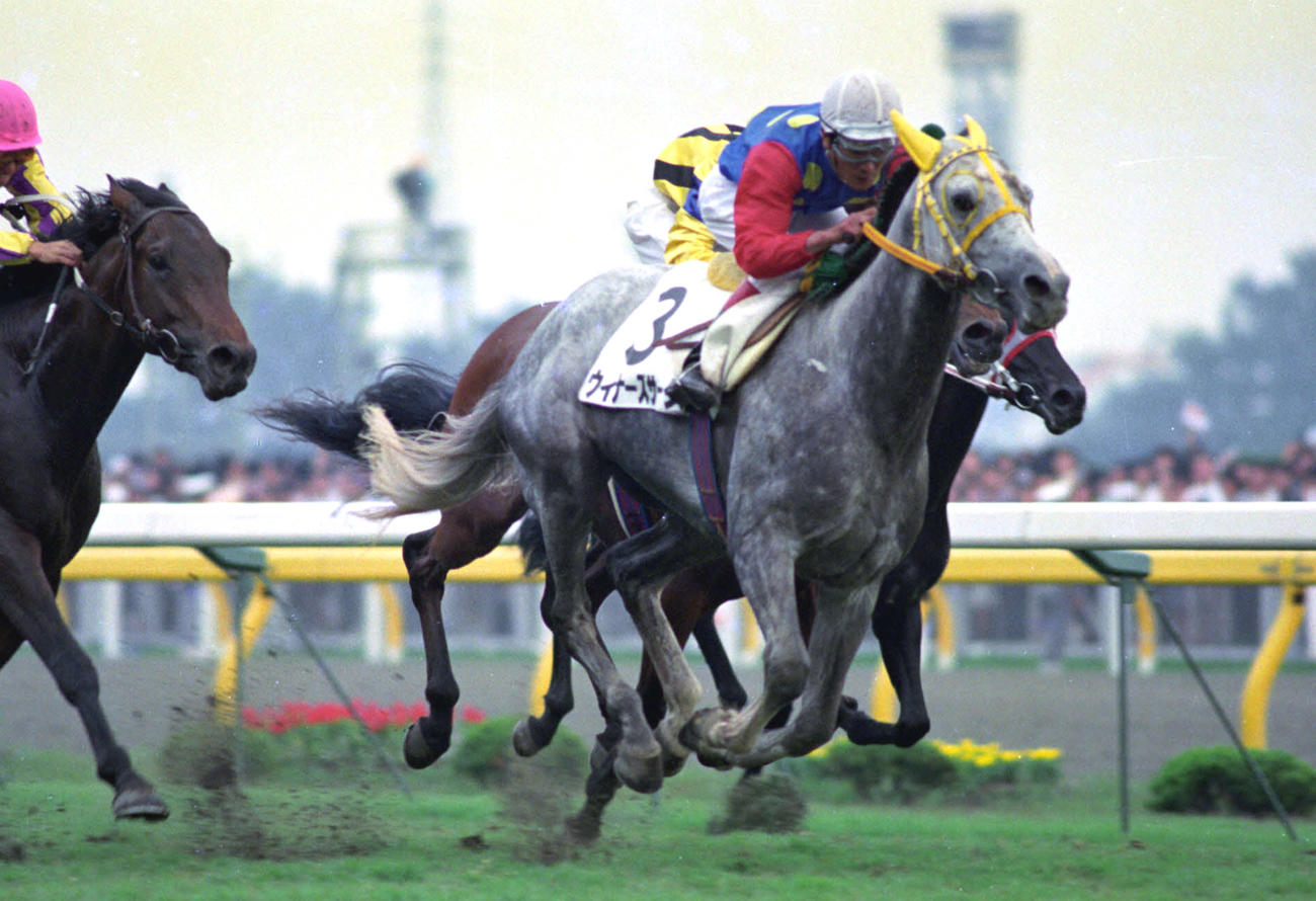 芦毛で唯一のダービー馬ウィナーズサークル