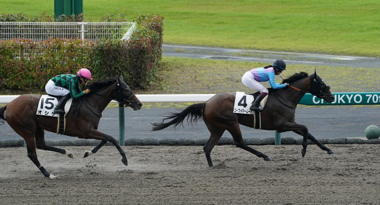 中京2Rを制したゴーフォマームードと今村騎手（右）（撮影・森本幸一）