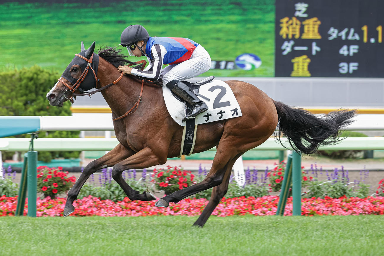 函館1R、2歳未勝利を勝ち上がったナナオと佐々木騎手（撮影・村野早祐）