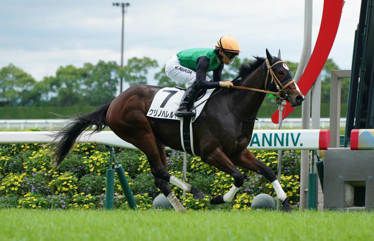 中京5R新馬戦を制したクリノハレルヤと川田騎手（撮影・森本幸一）