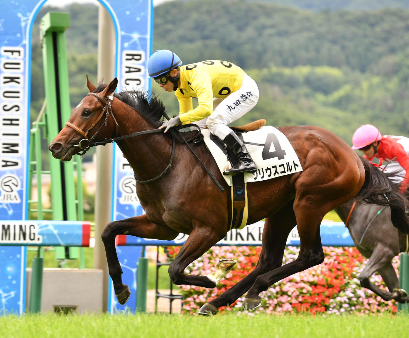 福島5R、新馬戦を制したシリウスコルトと丸田騎手（撮影・柴田隆二）