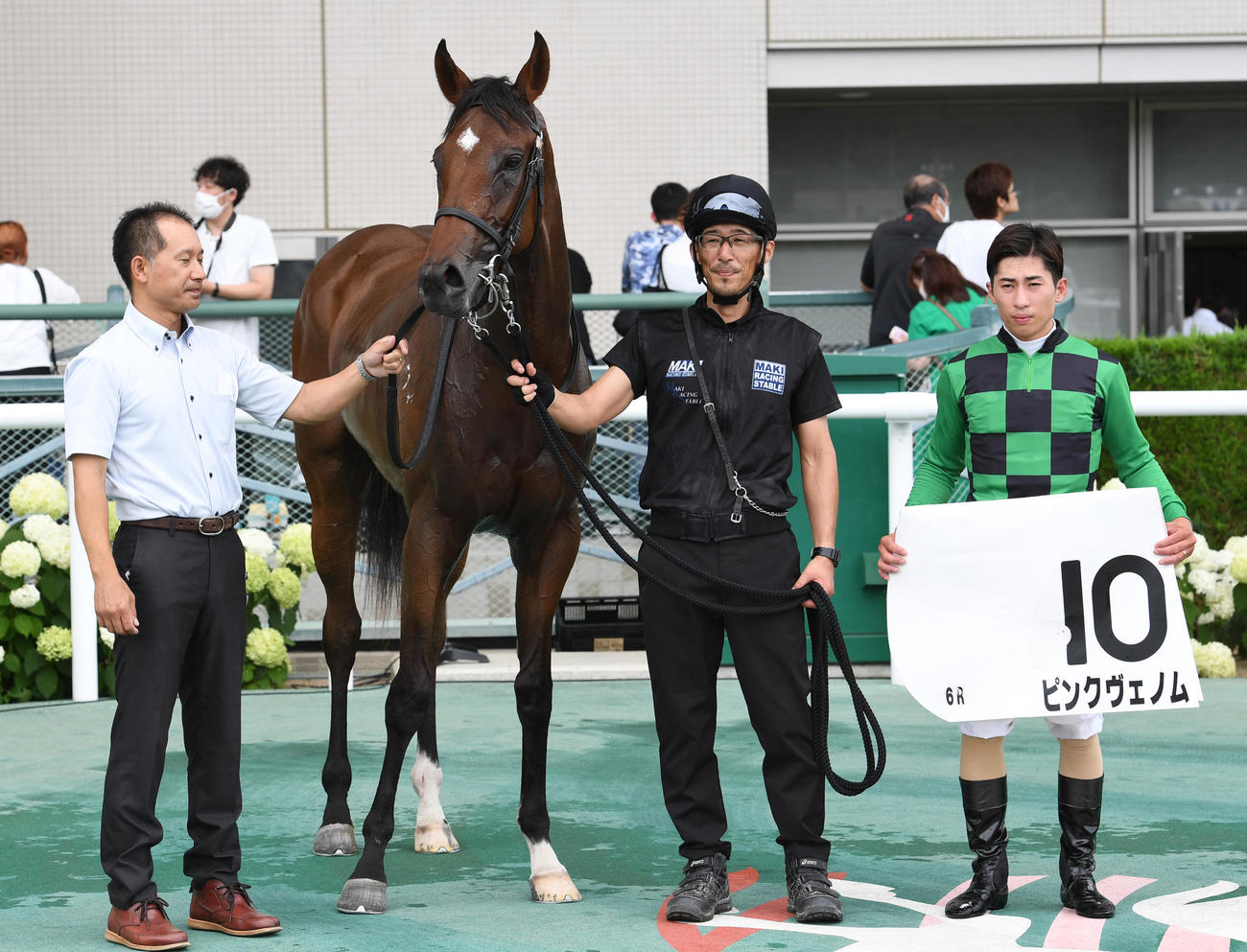 福島5R、新馬戦を制したピンクヴェノムと木幡巧騎手（左）（撮影・柴田隆二）