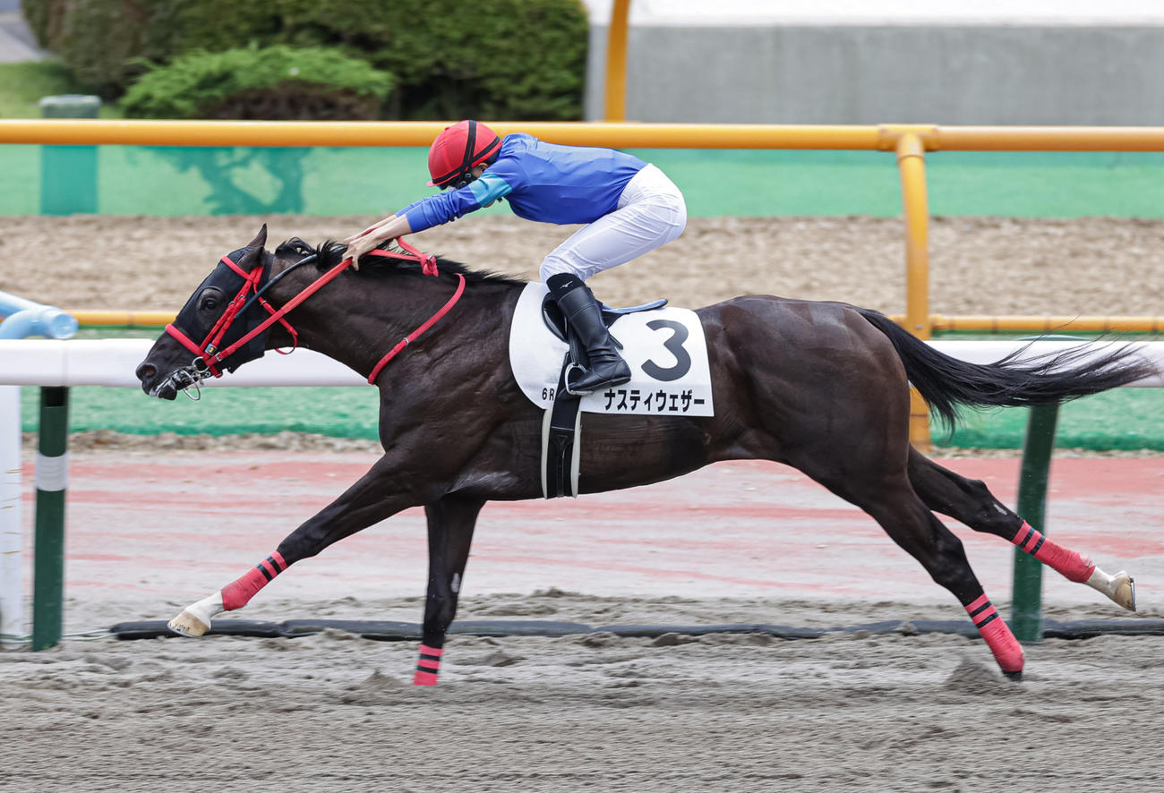 デビュー戦を制したナスティウェザーと佐々木騎手（撮影・村野早祐）