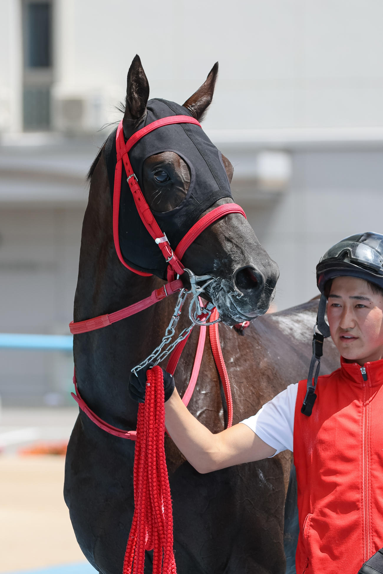 函館6R、デビュー戦を制したナスティウェザー（撮影・村野早祐）