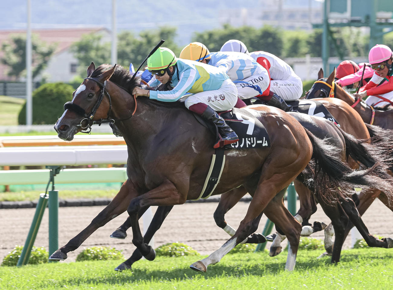 TVh杯を制したモリノドリームと横山武騎手（撮影・村野早祐）