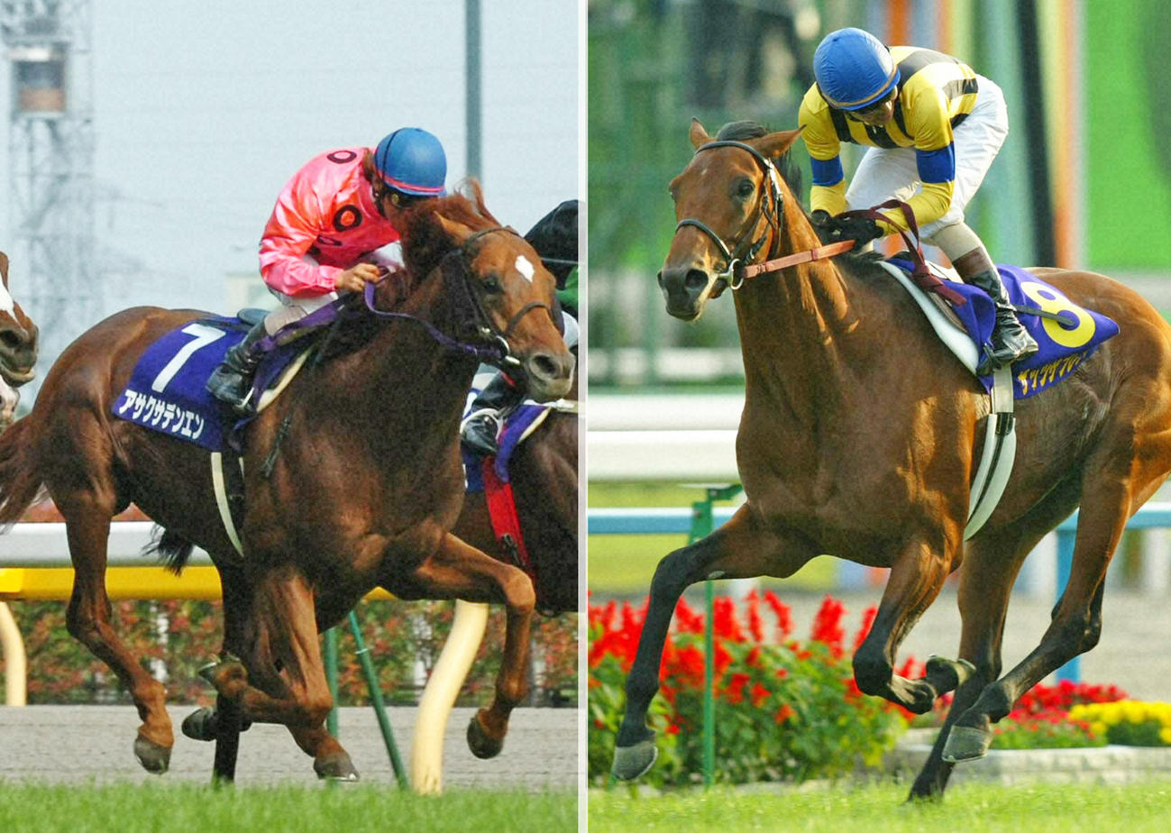 05年安田記念を制したアサクサデンエン（左）と03年菊花賞の勝ち馬ザッツザプレンティ