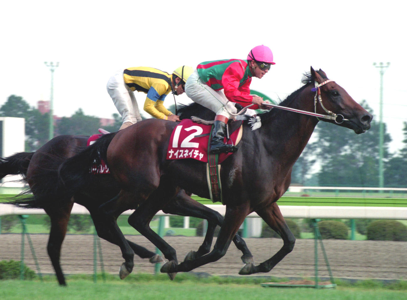 94年、高松宮杯を勝ったナイスネイチャと松永昌博騎手