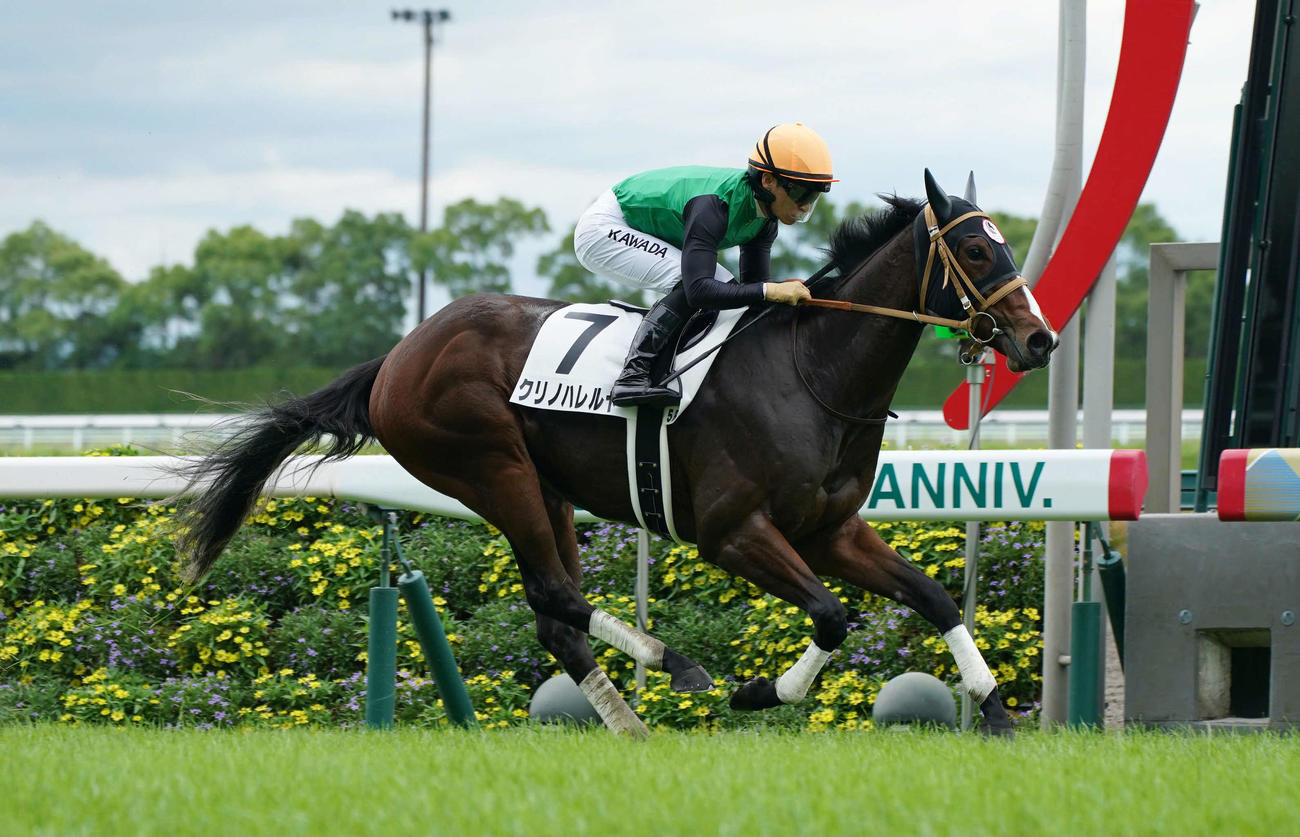 中京5R新馬戦1着のクリノハレルヤ（撮影・森本幸一）