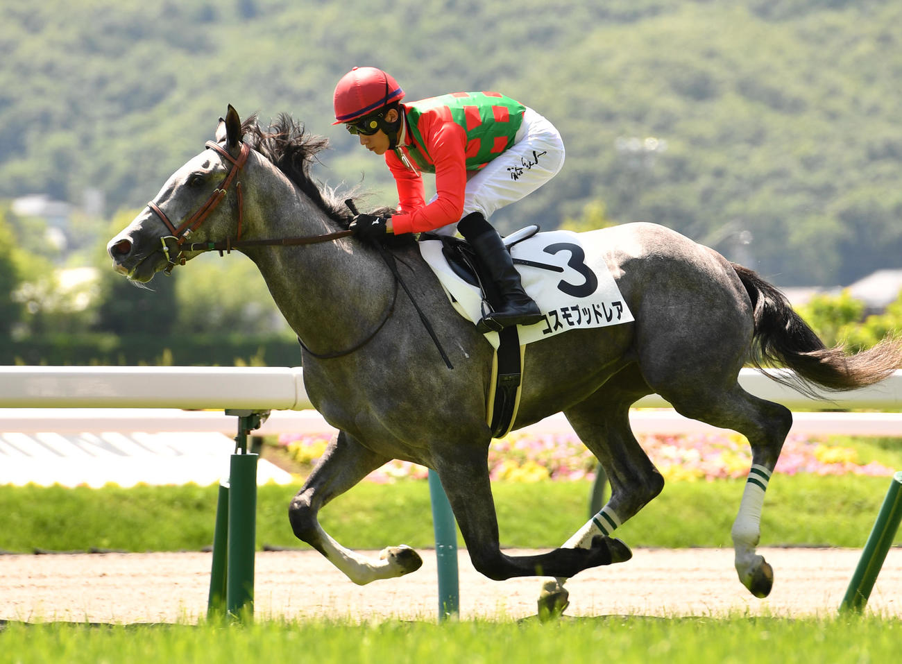 福島1Rを制したコスモブッドレアと石川裕紀人騎手（撮影・柴田隆二）
