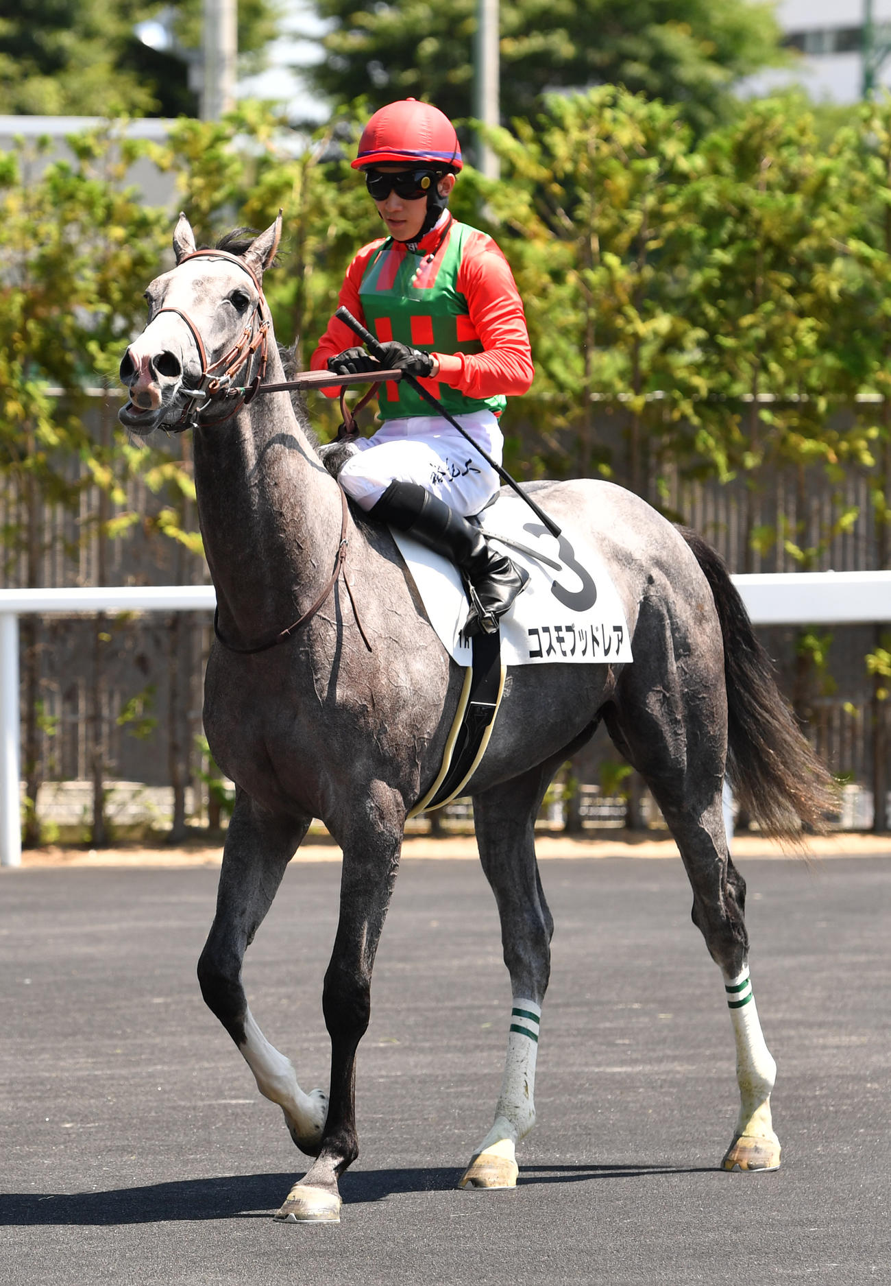 福島1Rを制したコスモブッドレアと石川裕紀人騎手（撮影・柴田隆二）